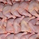 chicken 1