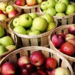 fruit10