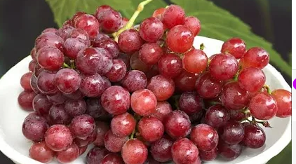 fruit13