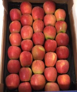 fruit4